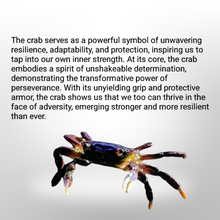 Load image into Gallery viewer, Crab - Sun Catcher