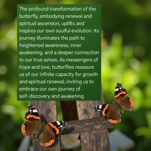 Load image into Gallery viewer, The Dual Spirit - Raven - Butterfly - Candle