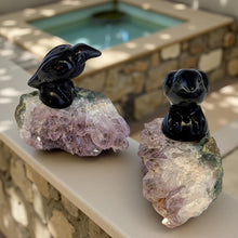 Load image into Gallery viewer, Raven - Manifestation - kit