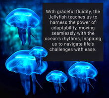 Load image into Gallery viewer, Jellyfish - Sun catcher