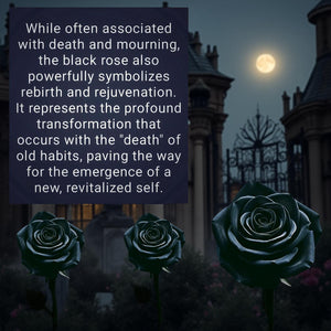 Black Rose - Black Obsidian - Bracelet