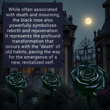 Load image into Gallery viewer, The Everlasting Promise - Black Obsidian - Rose