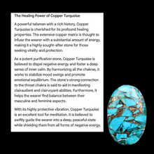 Load image into Gallery viewer, Turquoise Oyster Copper, Necklace