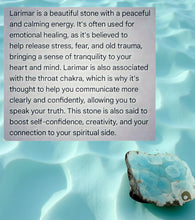Load image into Gallery viewer, Tide and Tranquility - Chakra - Sand dollar - Bracelet