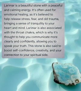 Tide and Tranquility - Chakra - Sand dollar - Bracelet
