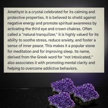 Load image into Gallery viewer, Tree of life -Copper wrapped -Amethyst - Pendant