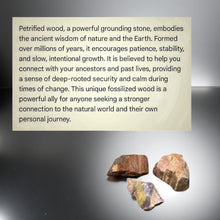 Load image into Gallery viewer, Whispers of the Earth - Arrowhead - Petrified Wood cabochon
