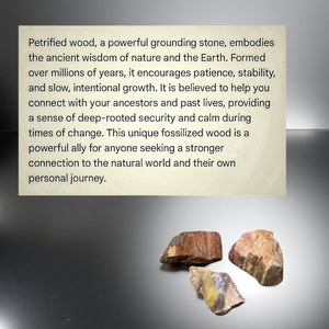 Raven - Sun Catcher - Petrified Wood