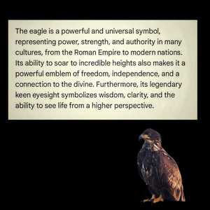 The Soaring Protector - Arrowhead - Eagle