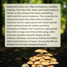 Load image into Gallery viewer, The mystic Traveler -Rear view mirror - Skull &amp; Mushroom - air freshener
