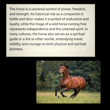 Load image into Gallery viewer, &quot;Love You Forever&quot; Galloping Horse -  Rear view mirror -Hanger