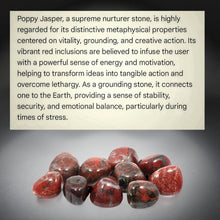 Load image into Gallery viewer, Fire &amp; Stone Anchor - Bracelet