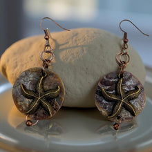 Load image into Gallery viewer, Starfish, Shell - Earrings