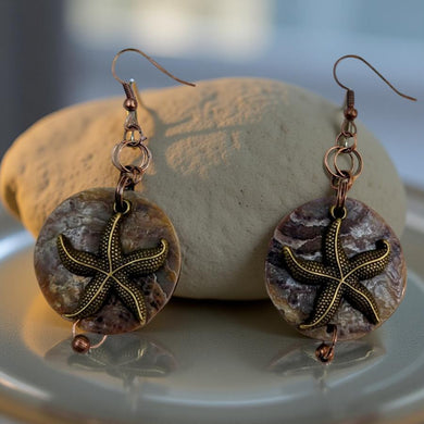 Starfish, Shell - Earrings