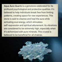 Load image into Gallery viewer, The Guardian of the Pacific - Octopus - Sun Catcher