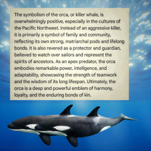 Load image into Gallery viewer, Orca - Painted Rock