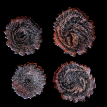 Load image into Gallery viewer, Geode - Coasters
