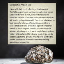 Load image into Gallery viewer, Earthen Echo - Necklace - Turritella Jasper