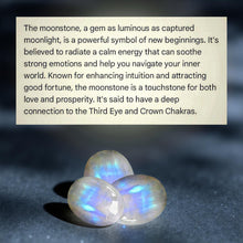Load image into Gallery viewer, The Moon-Root Pendant - Tree of life, Copper wrapped, Moonstone, Pendant