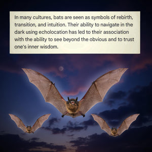 Gothic - Walk in the Shadows - Bat - Jewelry