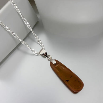 The Amber Guardian - Necklace