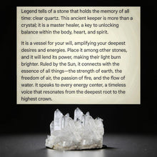 Load image into Gallery viewer, The Treehouse Sanctuary -  Candle