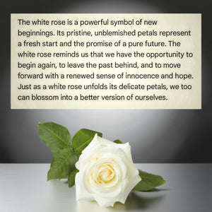 The Everlasting Promise - Clear Quartz