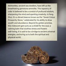 Load image into Gallery viewer, Ancient Embrace - Ammolite - Necklace