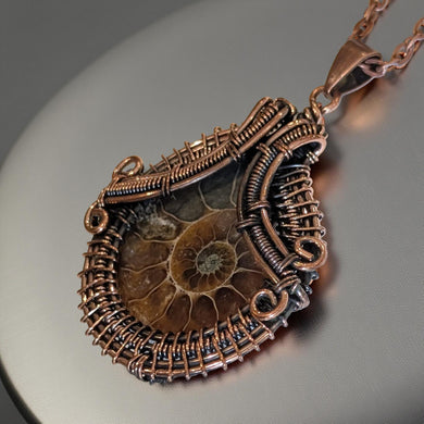 Ancient Embrace - Ammolite - Necklace