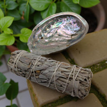 Load image into Gallery viewer, Sage &amp; Abalone Shell Kit