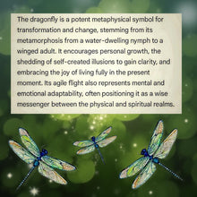 Load image into Gallery viewer, Whispers Of Wings and Light - Dragonfly - Sun Catcher