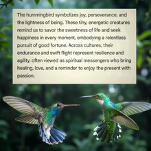 Load image into Gallery viewer, The relentless Joy - Rear view mirror - Hummingbird - Aromatherapy