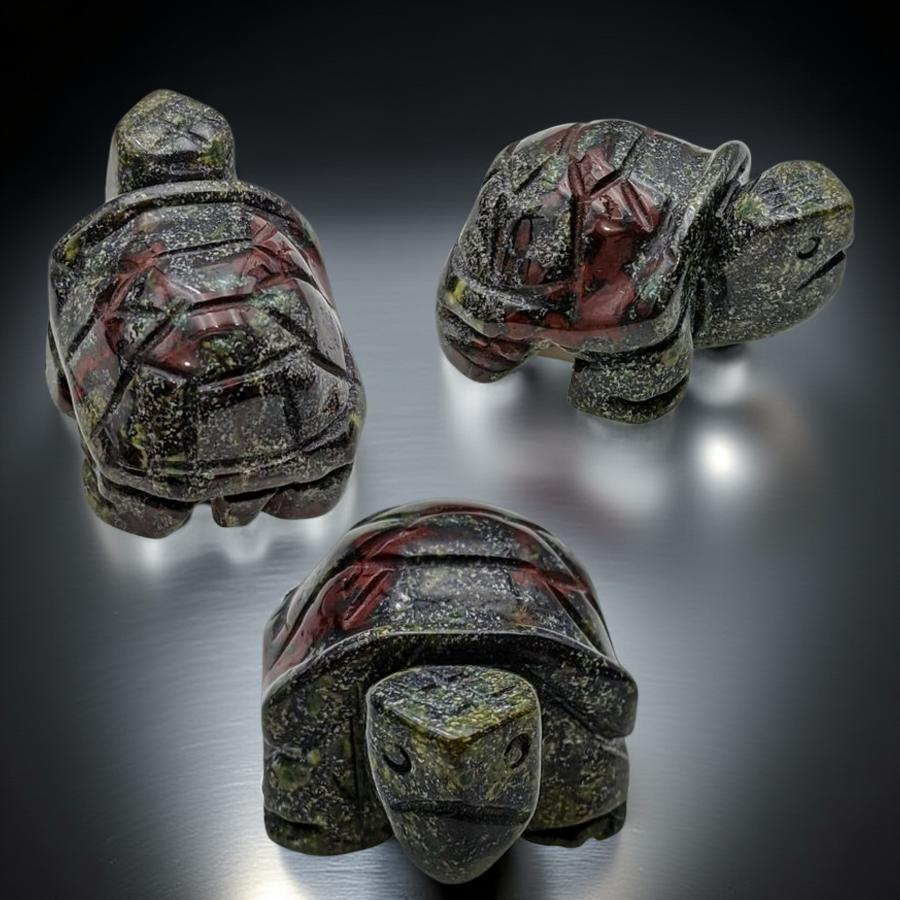 The Dragon Heart - Turtle