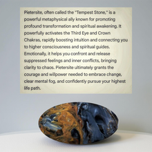 Load image into Gallery viewer, The Tempest Wolf - Bracelet