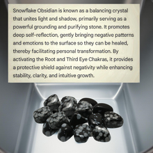 Load image into Gallery viewer, The Ward of Stillness - Copper wrapped, Snowflake obsidian &amp; Amethyst, Pendant