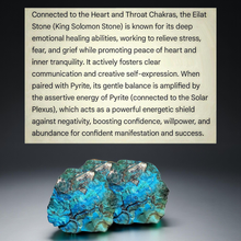 Load image into Gallery viewer, The Harmonized Shield - Necklace &amp; Earrings - Set