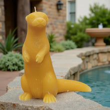 Load image into Gallery viewer, Sea Otter Embrace - Candle