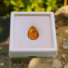 Load image into Gallery viewer, Penguins Promise - Pebble gift - Amber