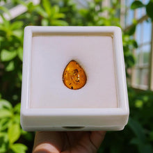 Load image into Gallery viewer, Penguins Promise - Pebble gift - Amber