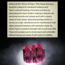 Load image into Gallery viewer, The Midnight Rose - Necklace