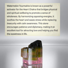 Load image into Gallery viewer, The Harmonizer - Watermelon Tourmaline - Necklace