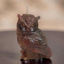 Load image into Gallery viewer, The Night Watchman - Owl - Candle