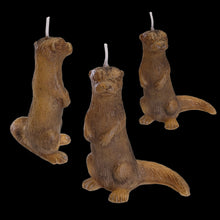 Load image into Gallery viewer, The Curious Coastal Otter - Candle