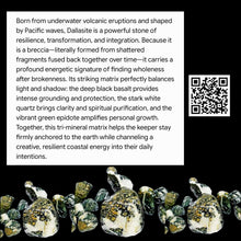 Load image into Gallery viewer, The Wooded Canopy - Mushroom - Stained Glass - Raven Stone