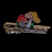 Load image into Gallery viewer, Whispers of the west coast Woods - Mushroom - Stain glass - Raven Stone