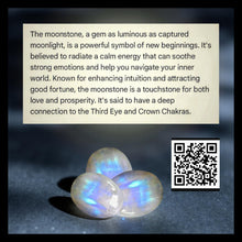 Load image into Gallery viewer, Moonlit Tides Jellyfish -  Jellyfish - Necklace