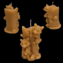 Load image into Gallery viewer, Racoon Spirit - Candle