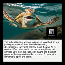 Load image into Gallery viewer, Tides of Wisdom - Jellyfish - Turtle - Candle