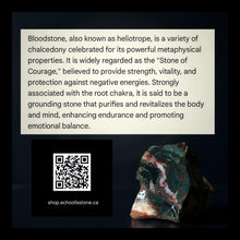 Load image into Gallery viewer, Rooted Nobility - Bracelet - Bloodstone
