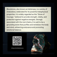 Load image into Gallery viewer, Earth-Forged Vitality - Bloodstone - Copper - Pendant